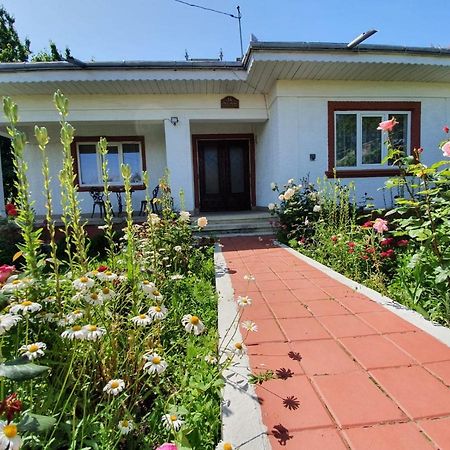 Casa Jeni Villa Humulesti Bagian luar foto