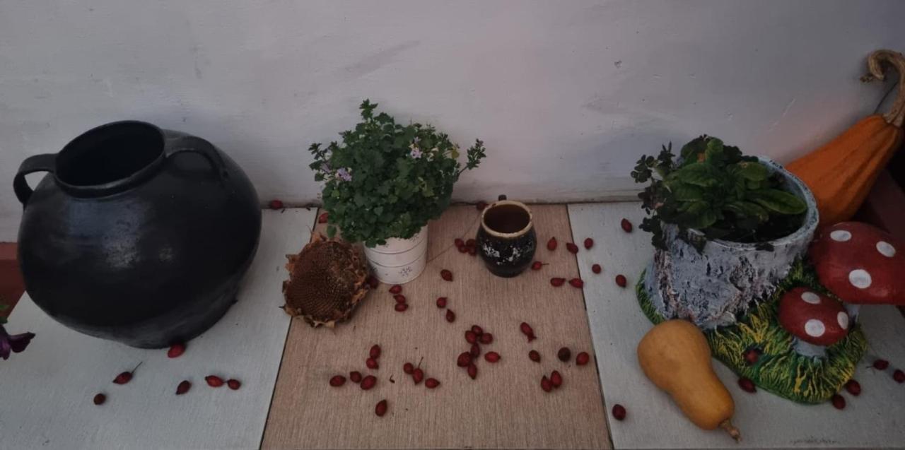 Casa Jeni Villa Humulesti Bagian luar foto